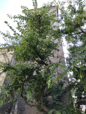 IMG20240809165157.jpg