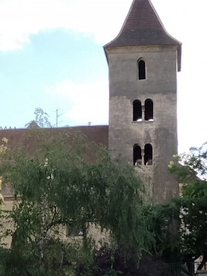 IMG20240809164556.jpg